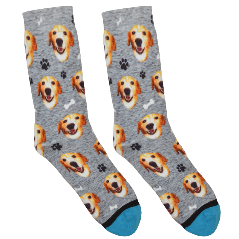 Custom Guy Harvey Test Socks