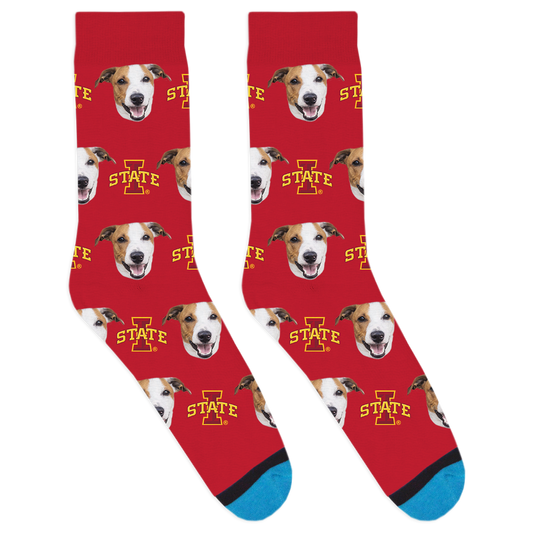 Custom Iowa State University Socks