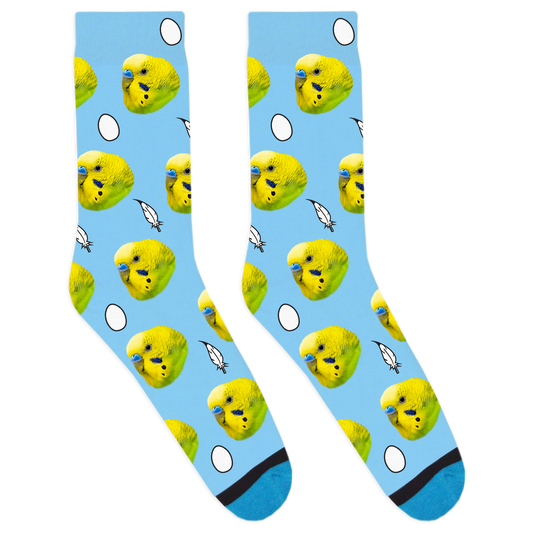 Custom Bird Socks