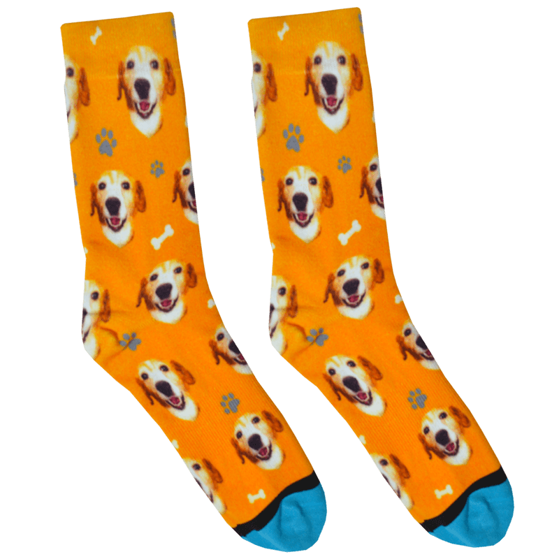 Custom Guy Harvey Test Socks