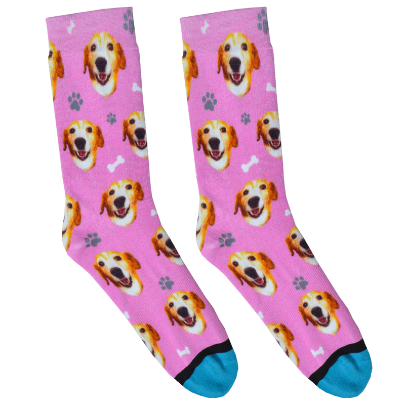 Custom Guy Harvey Test Socks