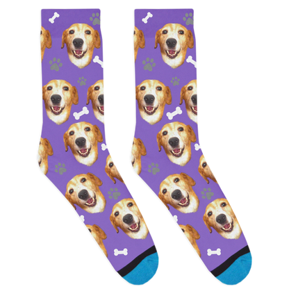 Custom Dog Socks