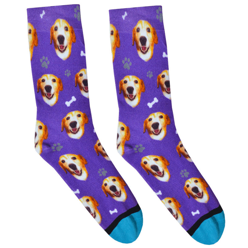Custom Guy Harvey Test Socks