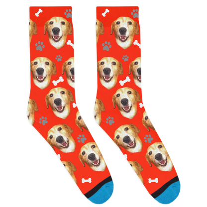 Custom Dog Socks