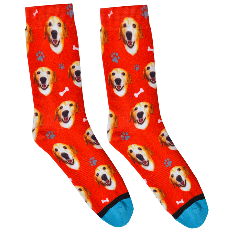 Custom Guy Harvey Test Socks