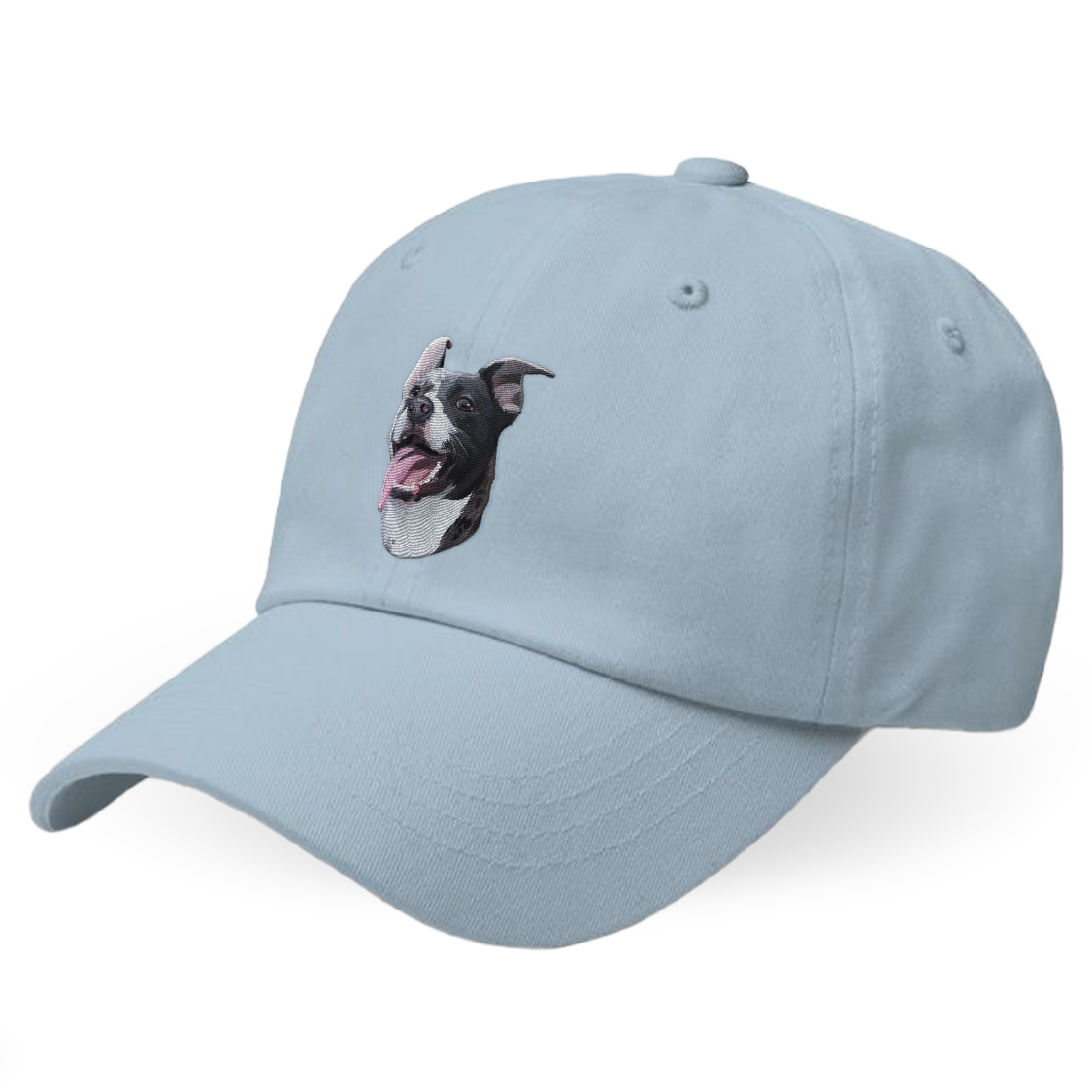 Custom Dog Hat
