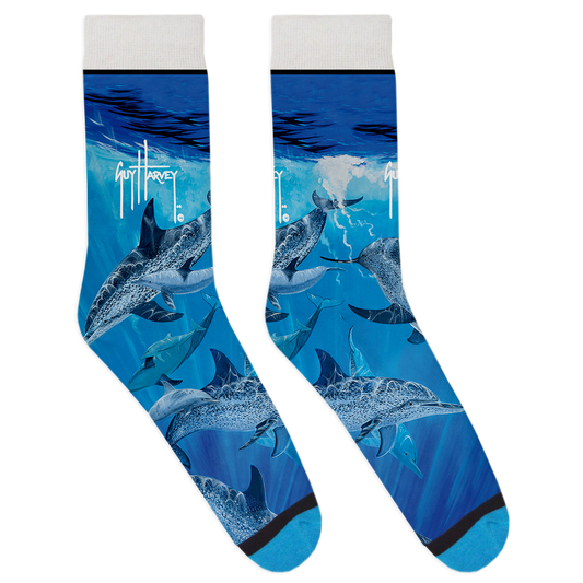 Guy Harvey Collection: Dolphin