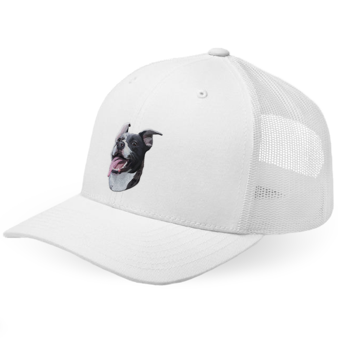 Custom Dog Hat