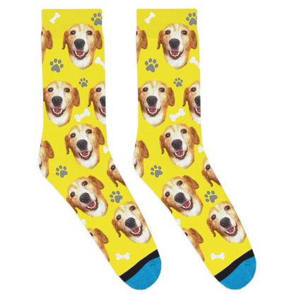 Custom Dog Socks